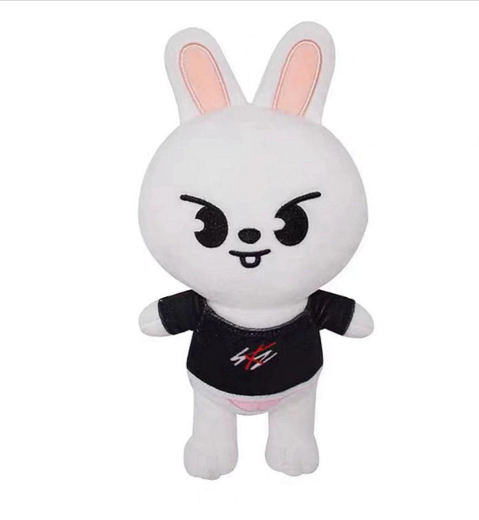 Leebit Skzoo Stray Kids Plushie – My Kawaii Heart