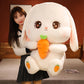 Ms. Bun Bun the Rabbit Bunny Plushie