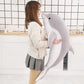 Dolphin Plushie