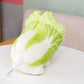 Cabbage Dog Plushie