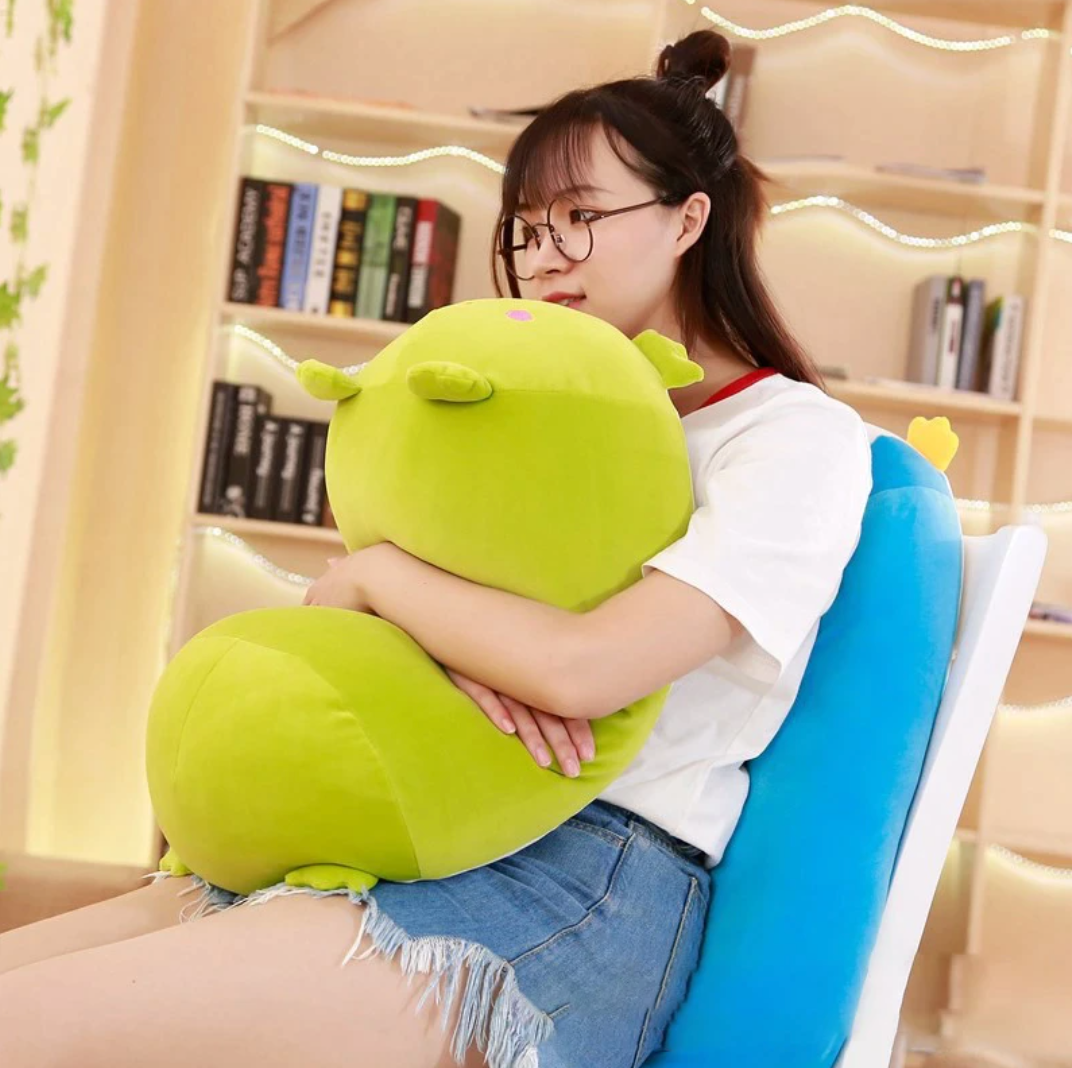 Frog Pillow Plushie – My Kawaii Heart