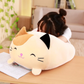 Cat Pillow Plushie