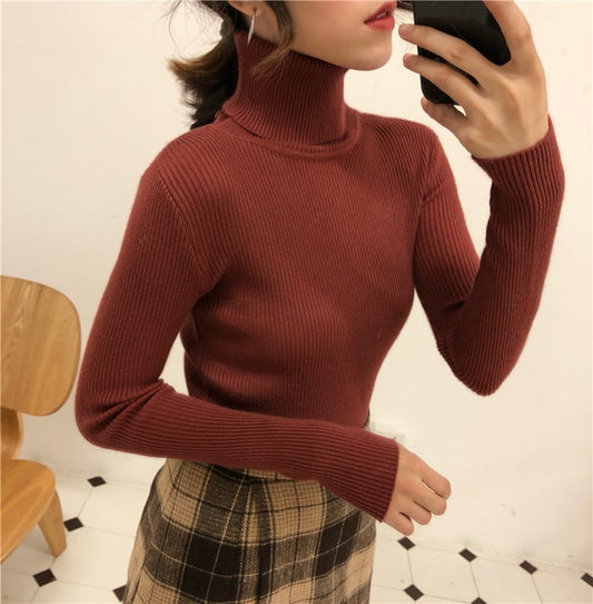 Susanna Cotton Slim Turtleneck